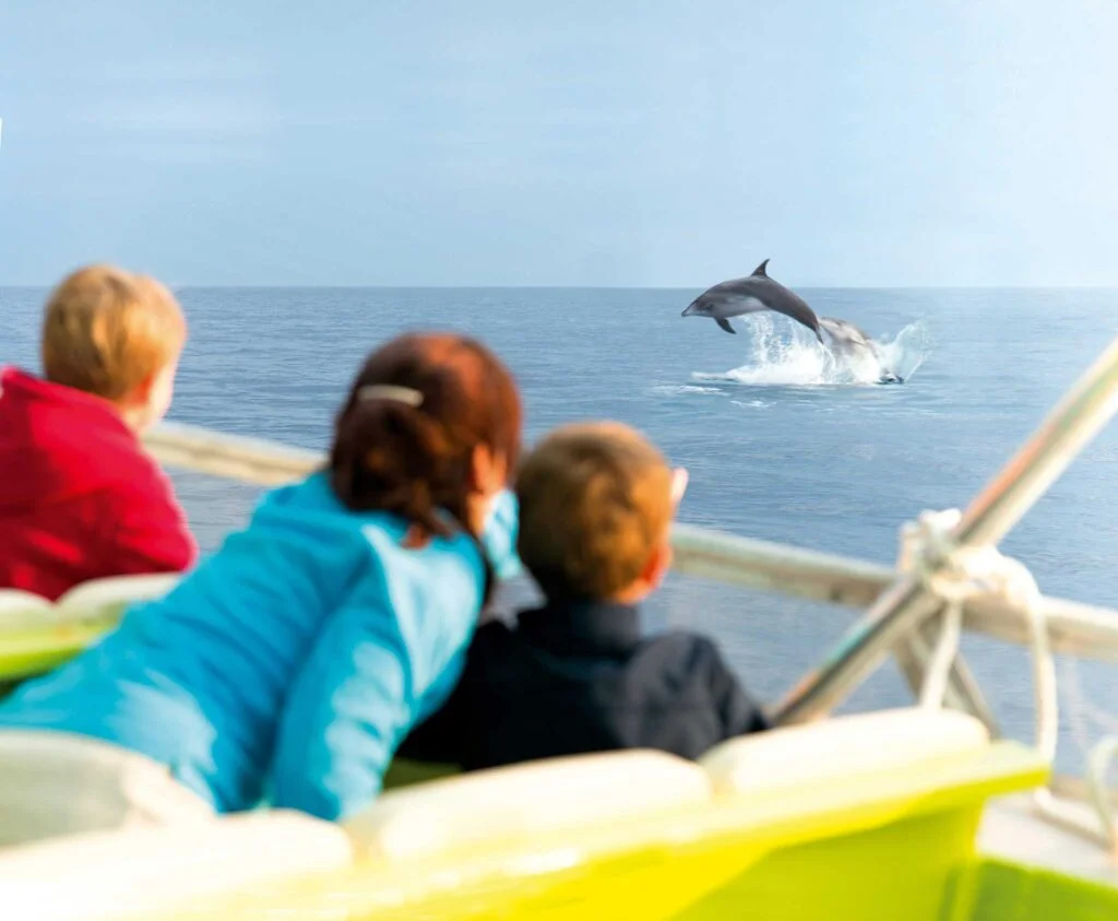 Aventura con delfines
