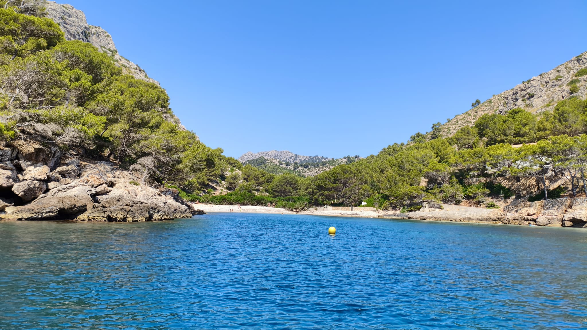 Excursión privada en Llaut Mallorquín de Madera (4h)