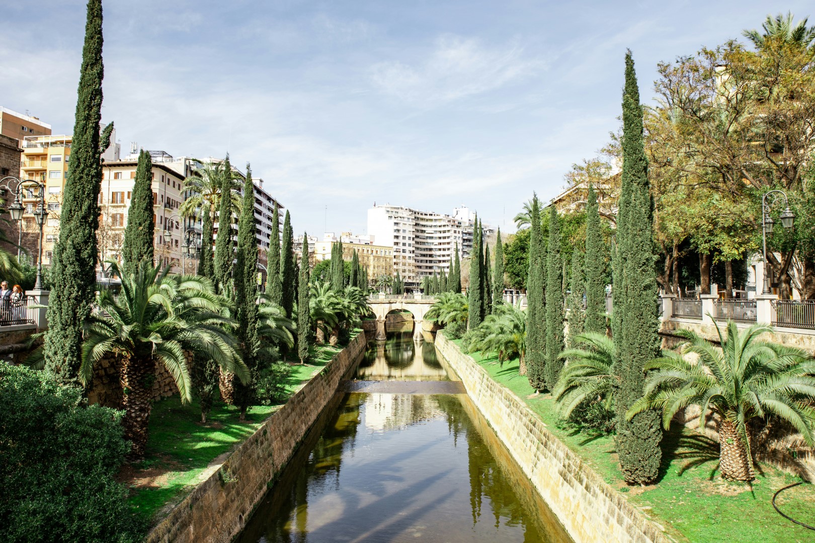 Palma a tu ritmo (Compras)