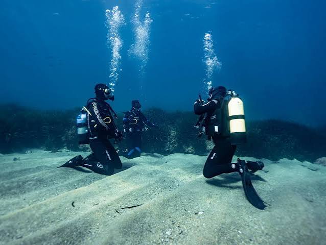 Curso Scuba Diver 1 día (Bautismo y curso) — Sin certificación